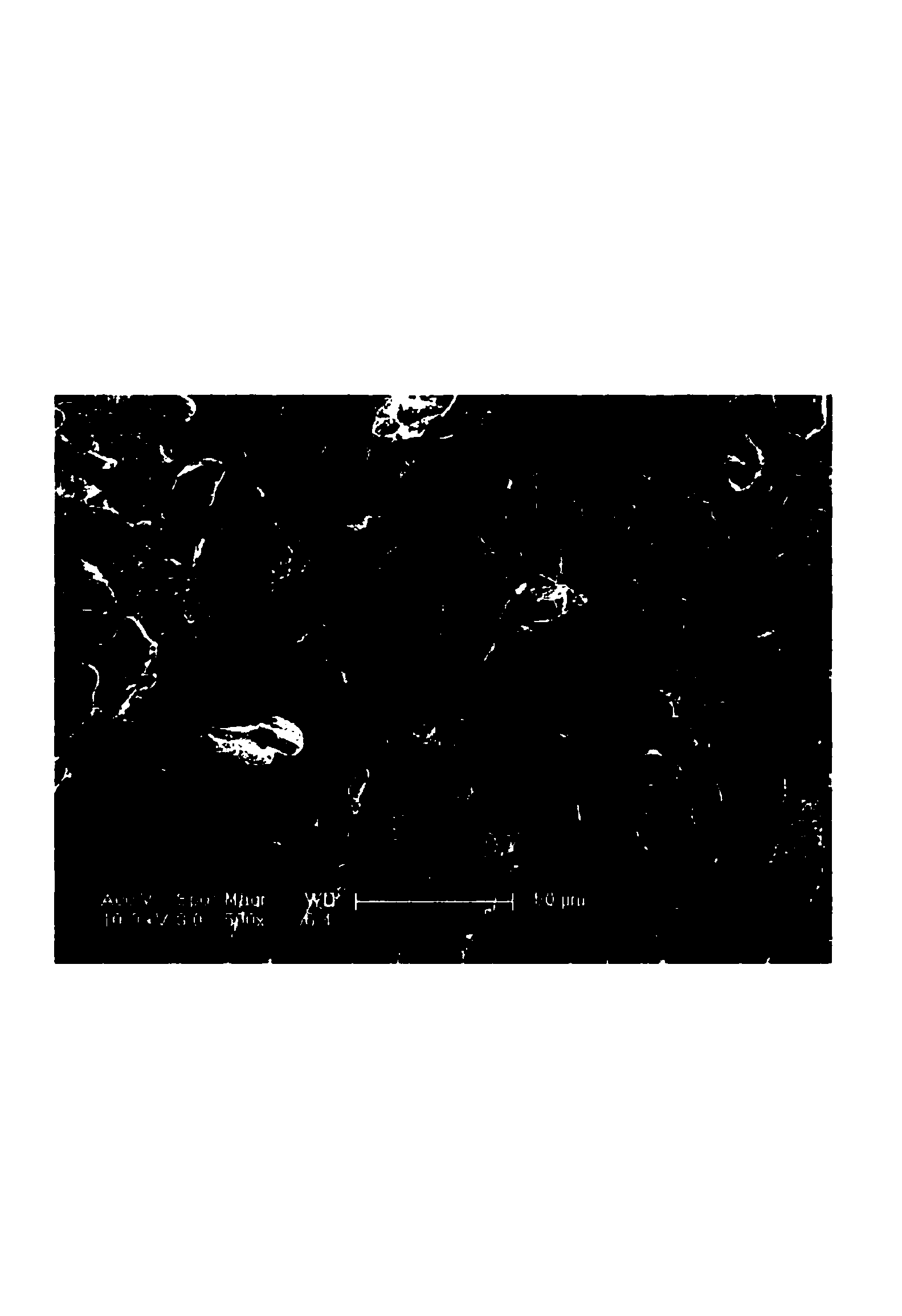 Preparation method of film lithium ion battery