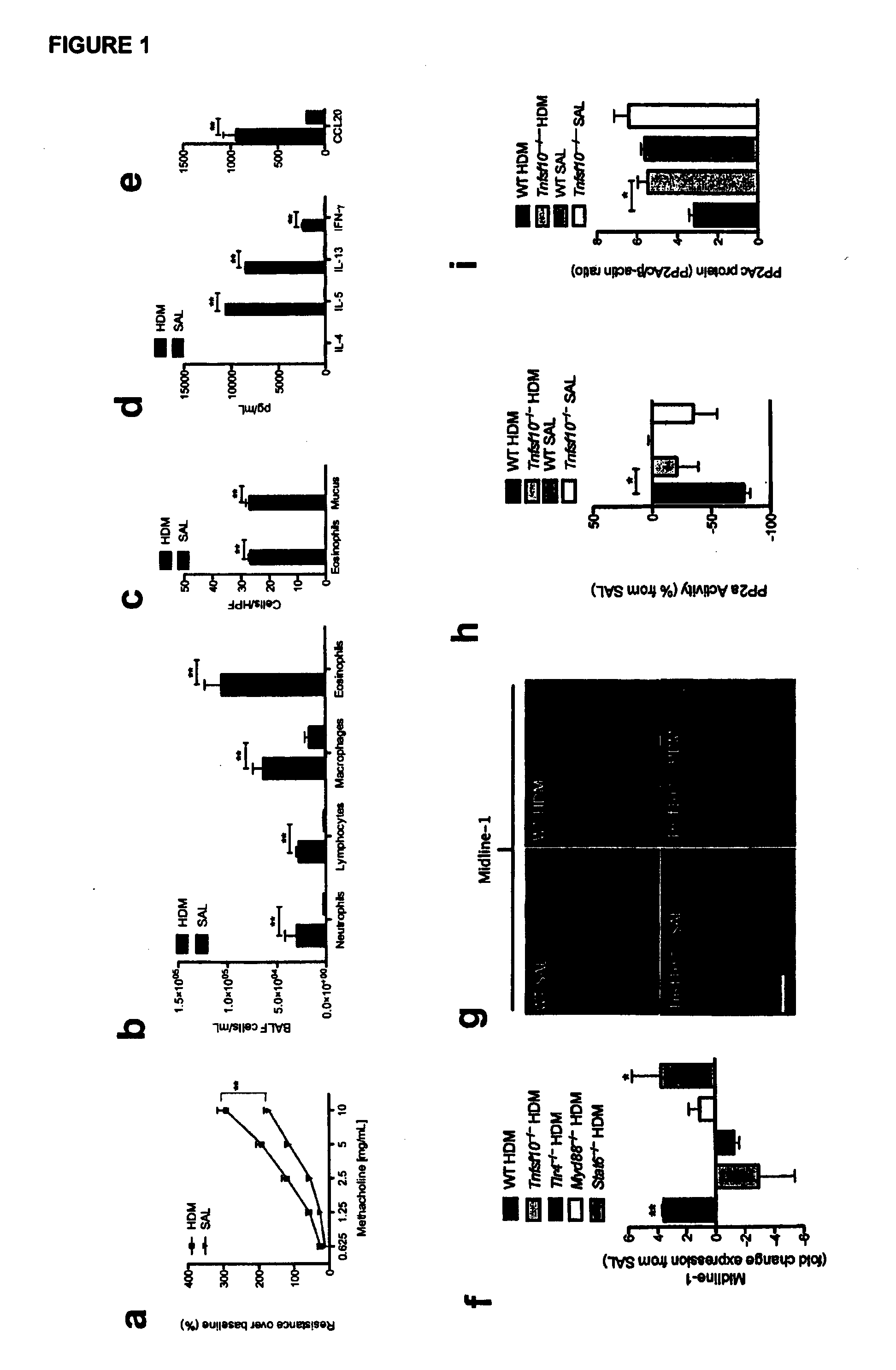 Signal transduction pathway modulation