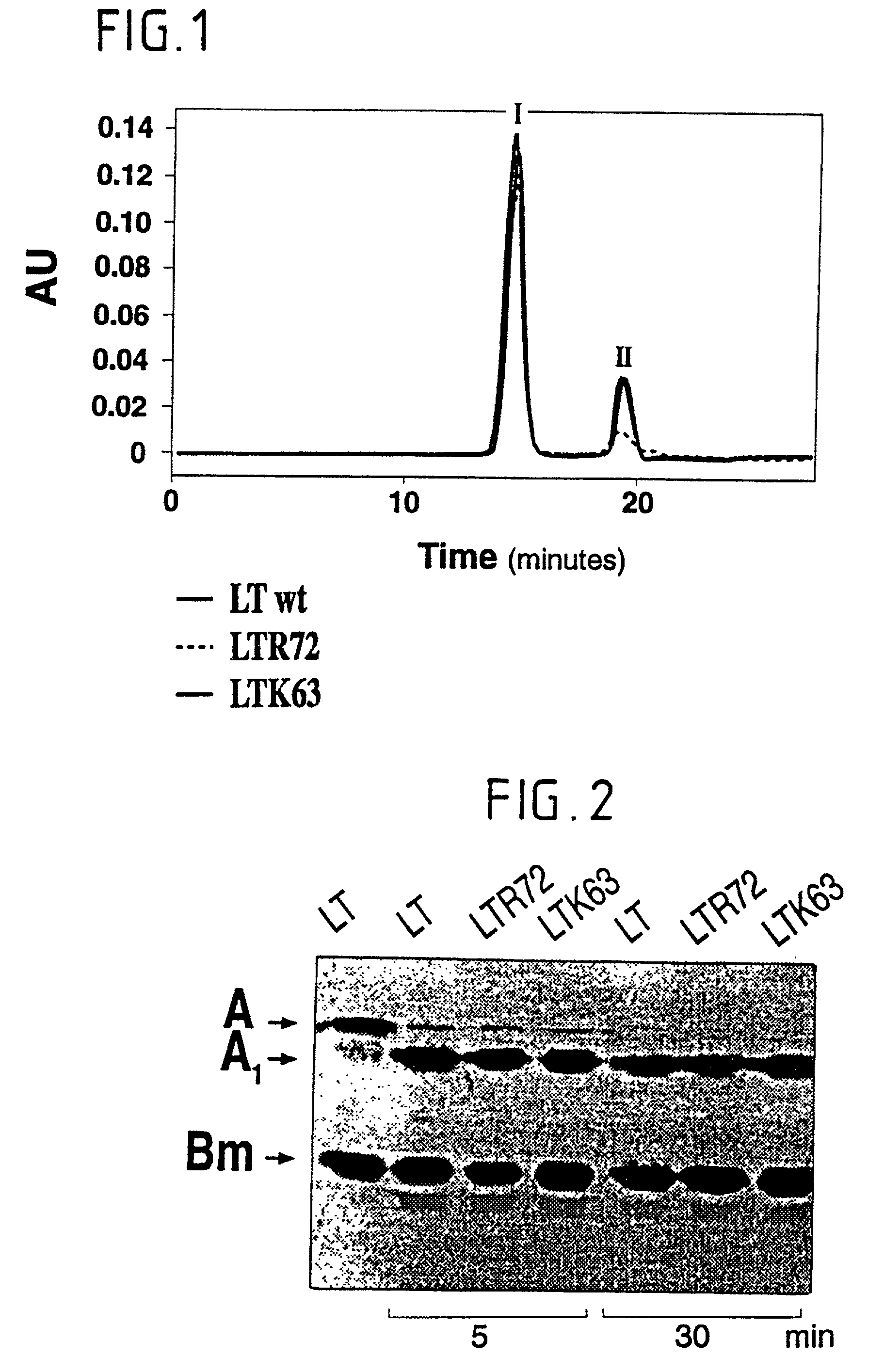 Immunogenic detoxified mutant e. coli lt-a toxin