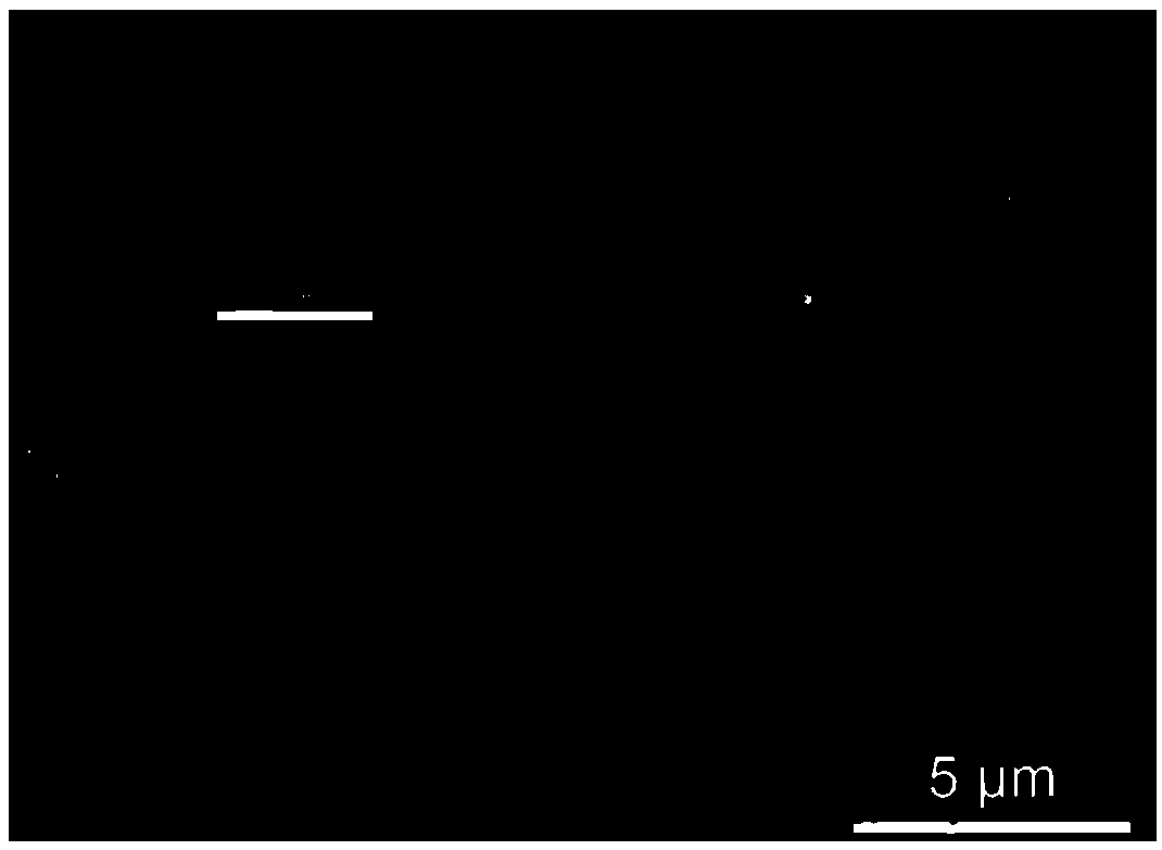 Method for preparing enzyme labeled antibody by utilizing metal organic framework material