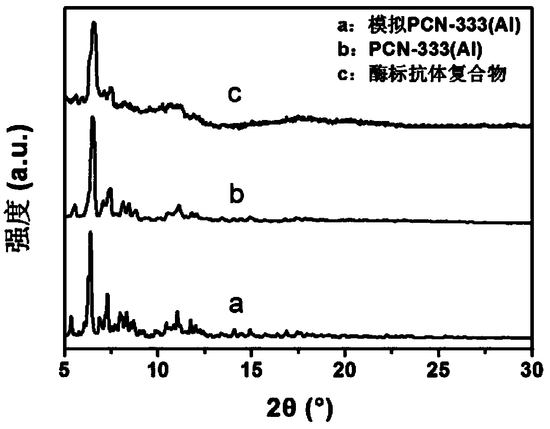 Method for preparing enzyme labeled antibody by utilizing metal organic framework material