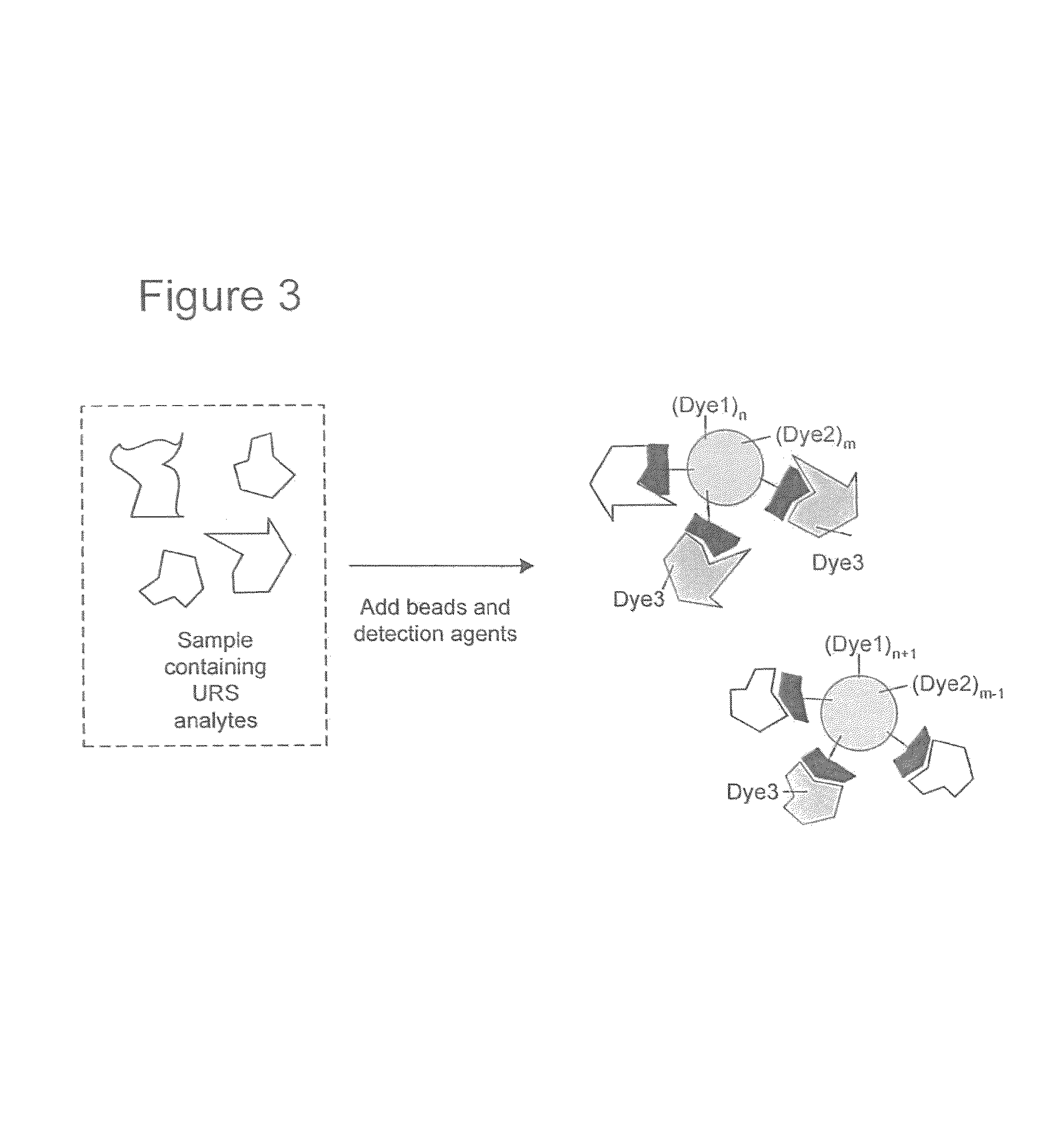 Proteome epitope tags and methods of use thereof in protein modification analysis