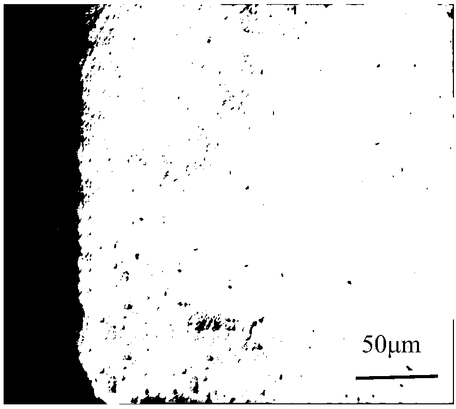 Large-deformation enhanced rapid ion nitriding method