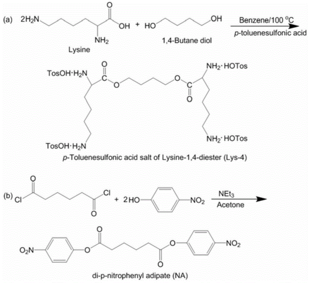 A kind of chemical graft type long-acting slow-release antibacterial silk suture and preparation method thereof