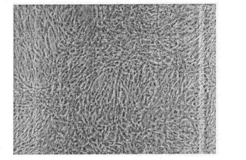 Method for non-freezing long-term cell preservation