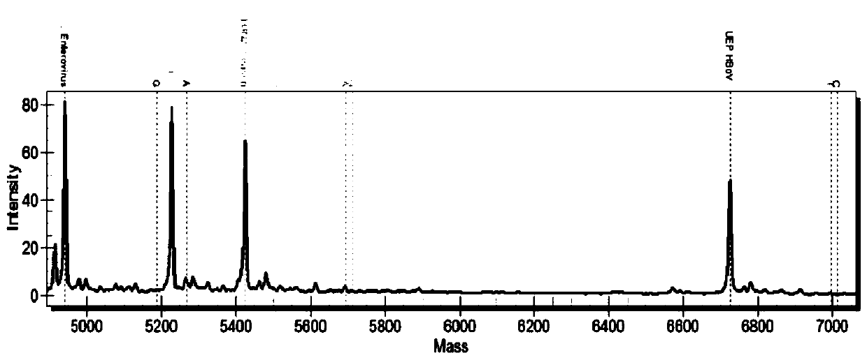 Primer group and kit for detecting 27 respiratory tract pathogens based on nucleic acid mass spectrometry and application of primer group and kit