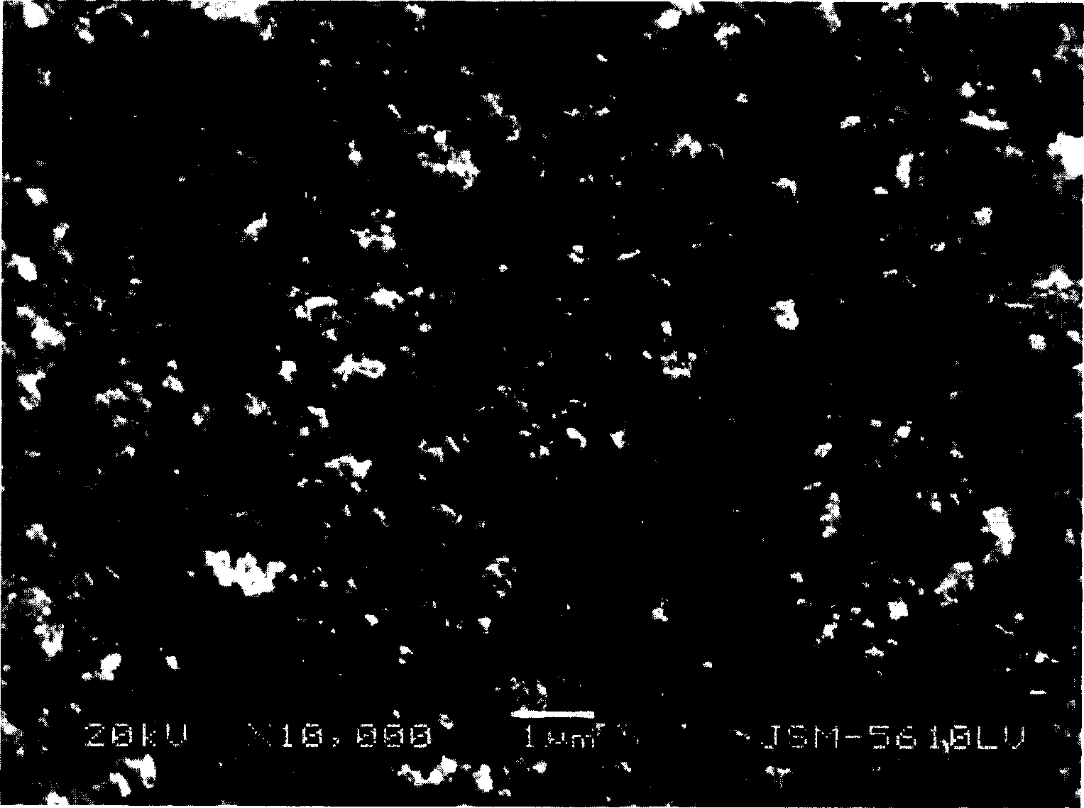 Process for synthesizing barium ferrite micro powder by self combustion method