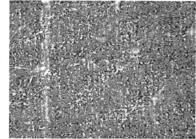 Novel application of rubus alceaefolius poir total alkaloid