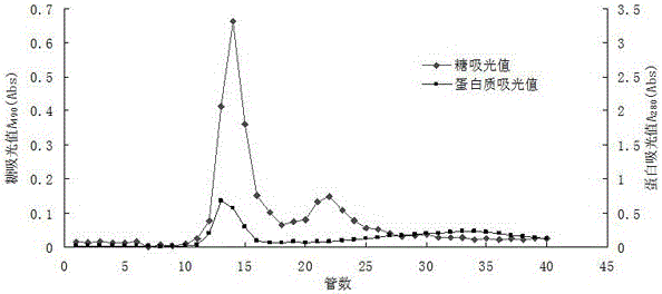 Method for preparing sea cucumber fucoidan and sea cucumber glycoprotein