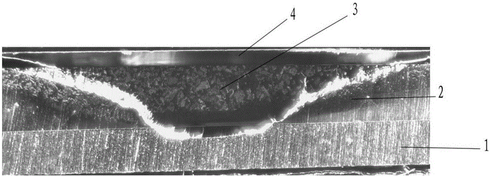 Method of processing powder sample for argon ion beam cutting