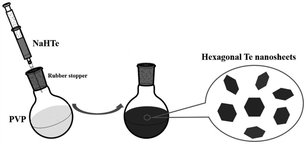 Preparation method for two-dimensional hexagonal tellurium nanosheets and application of preparation method to medical photoelectric detector