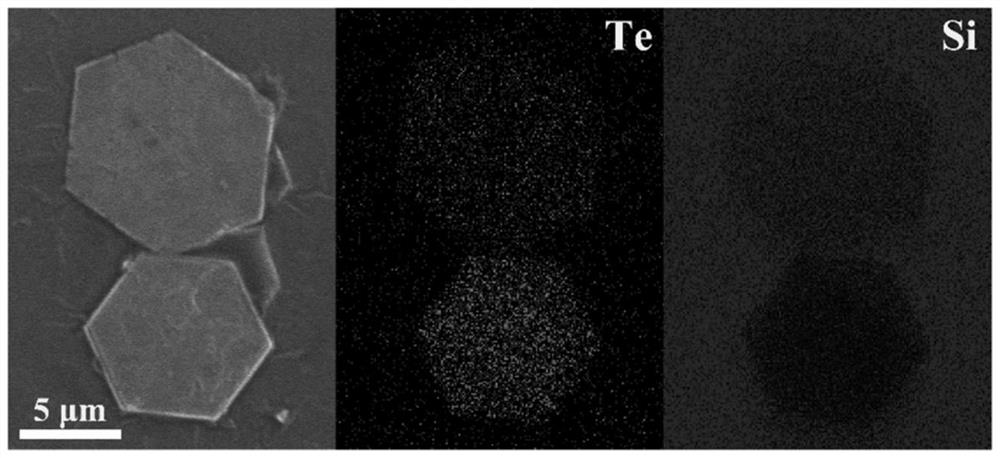 Preparation method for two-dimensional hexagonal tellurium nanosheets and application of preparation method to medical photoelectric detector