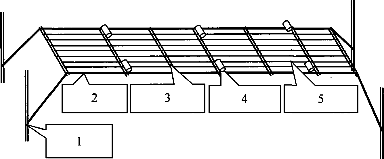 Method for repairing polluted seawater by shellfish-alga composite ecologic system