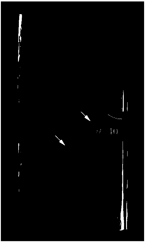 Method for measuring true stress of material