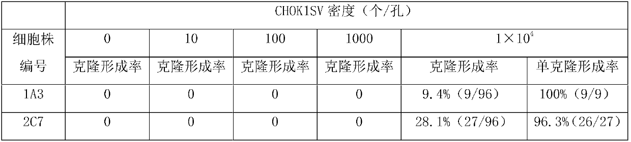 Screening method of GS (glutamine synthetase) expression system cell strains