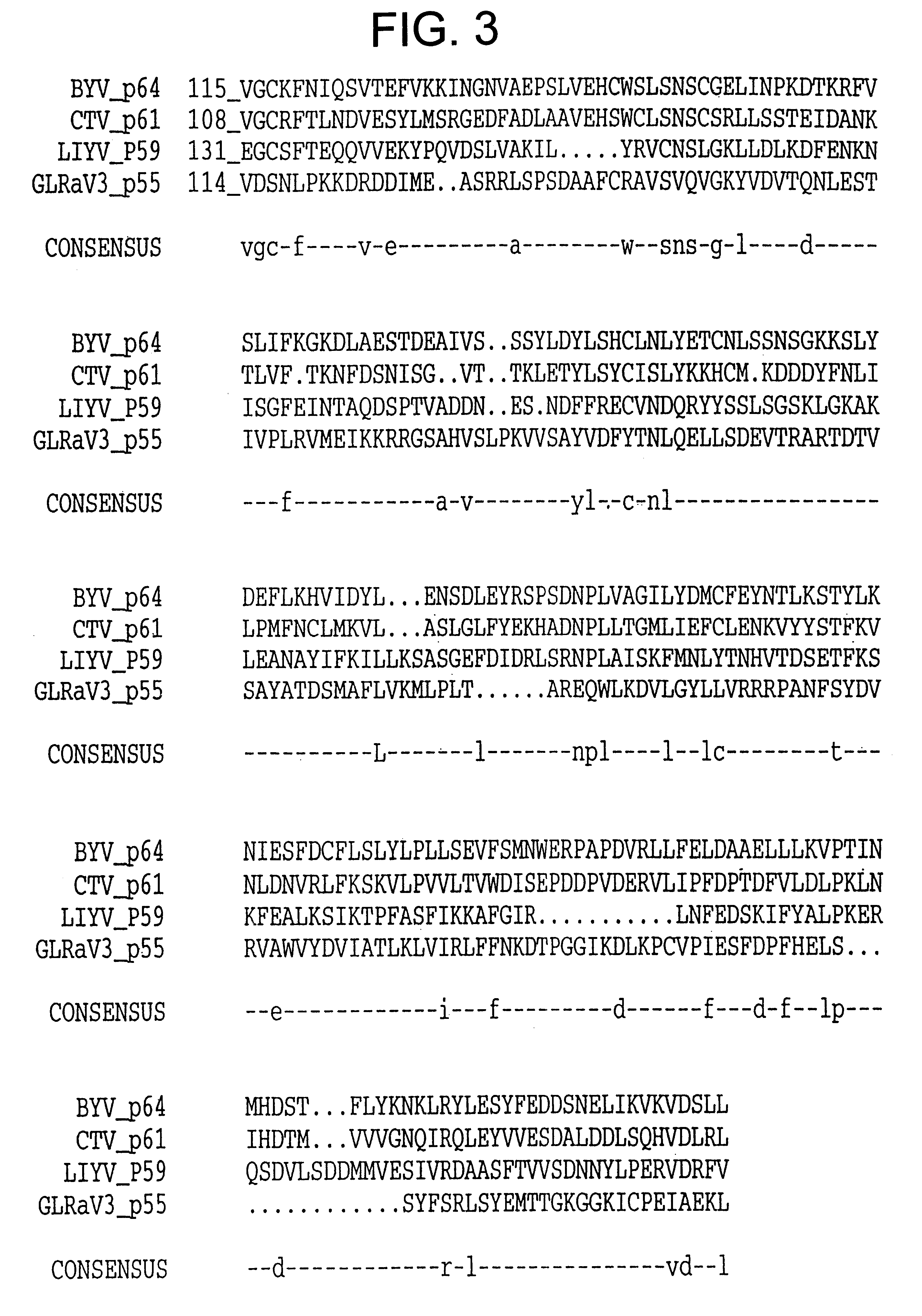 Grapevine leafroll virus proteins and their uses