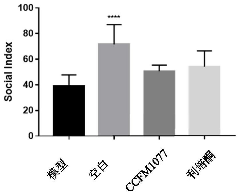 A long subspecies of Bifidobacterium longum and its application