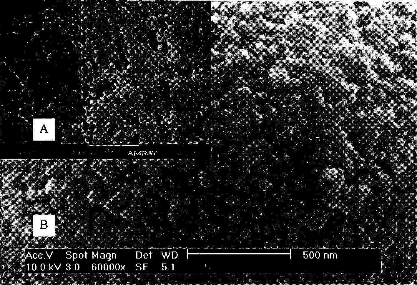 Micron spherical body composed of nano composite calcium carbonate and its preparation method