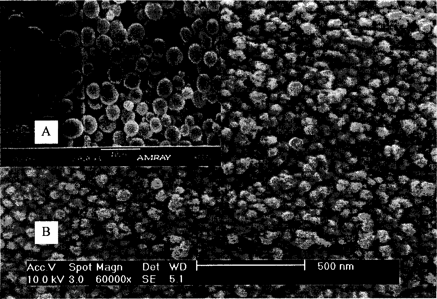 Micron spherical body composed of nano composite calcium carbonate and its preparation method