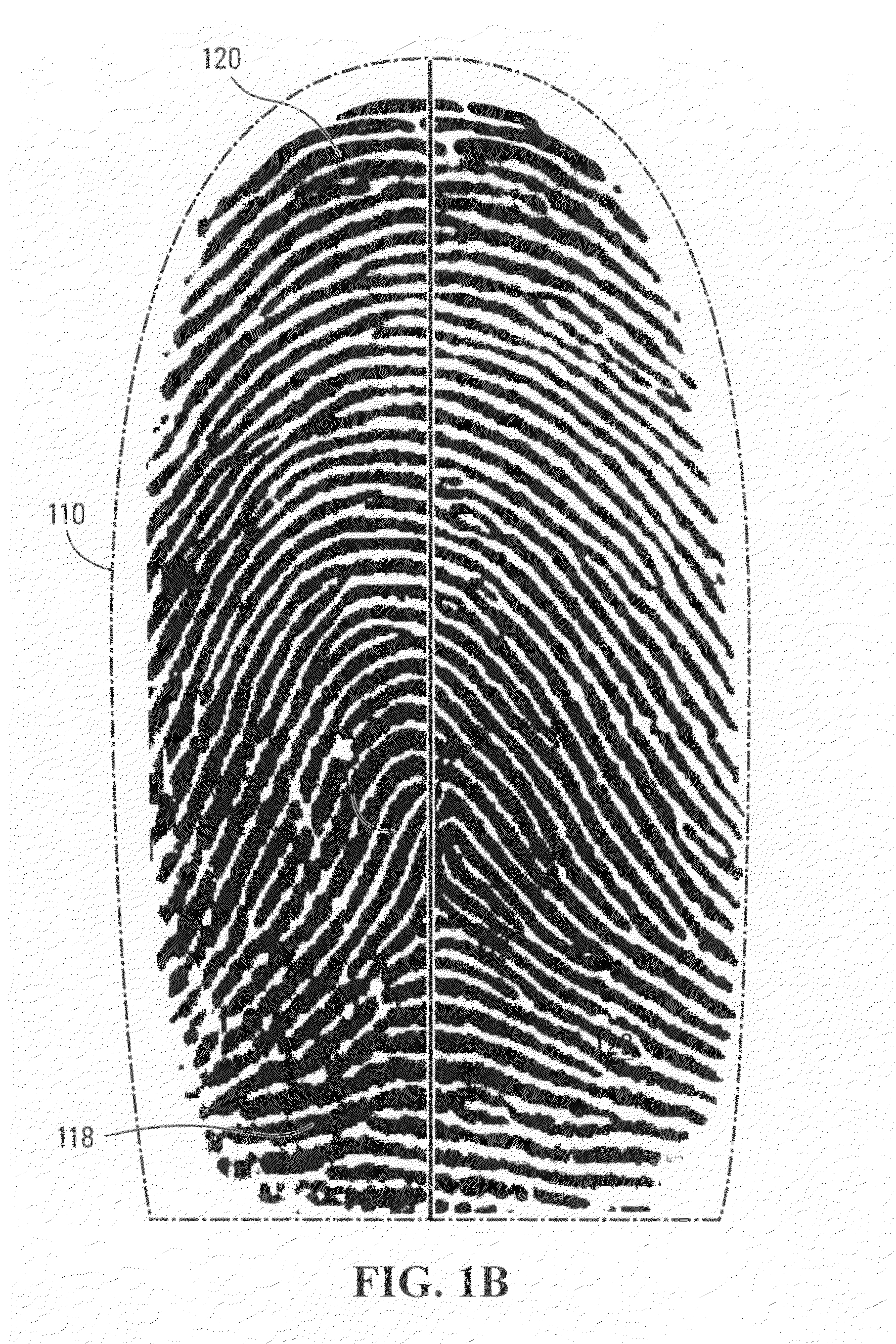 Methods and systems for automated fingerprint recognition