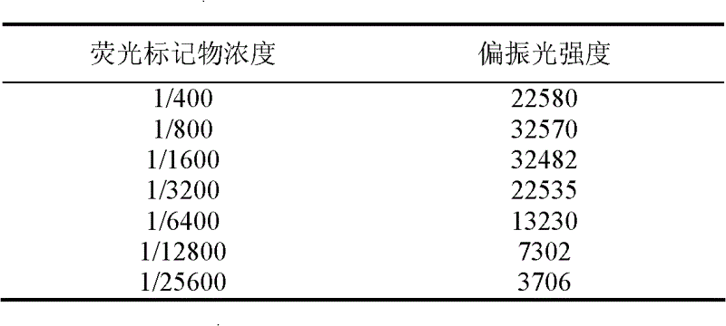 Fluorescence polarization immunoassay detection method for sarafloxacin