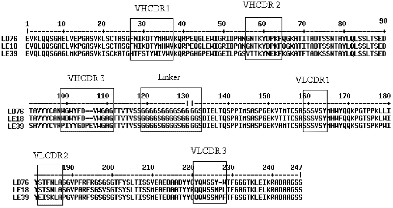 Single-chain antibody against fenitrothion and preparation method thereof