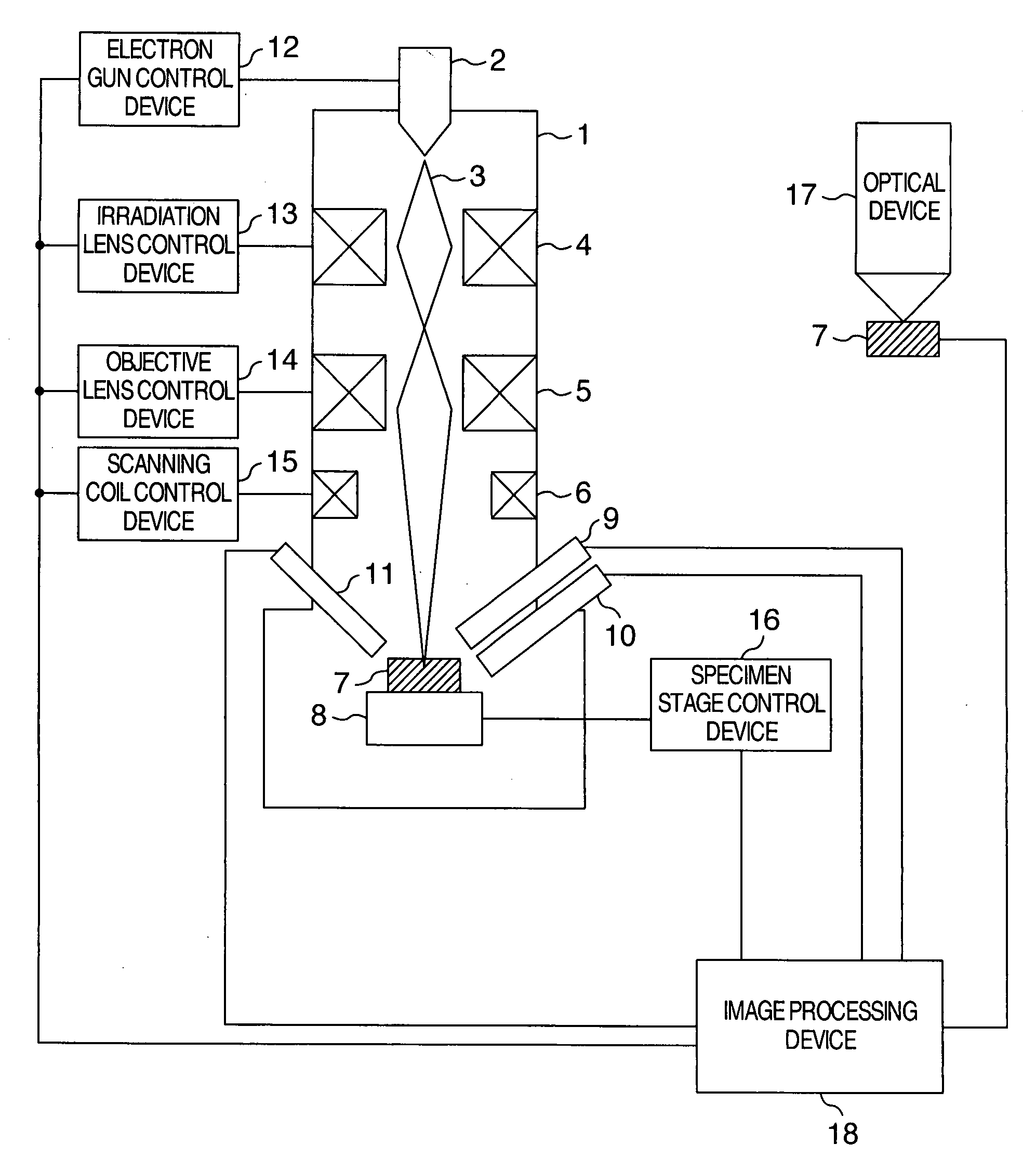 Specimen observation method