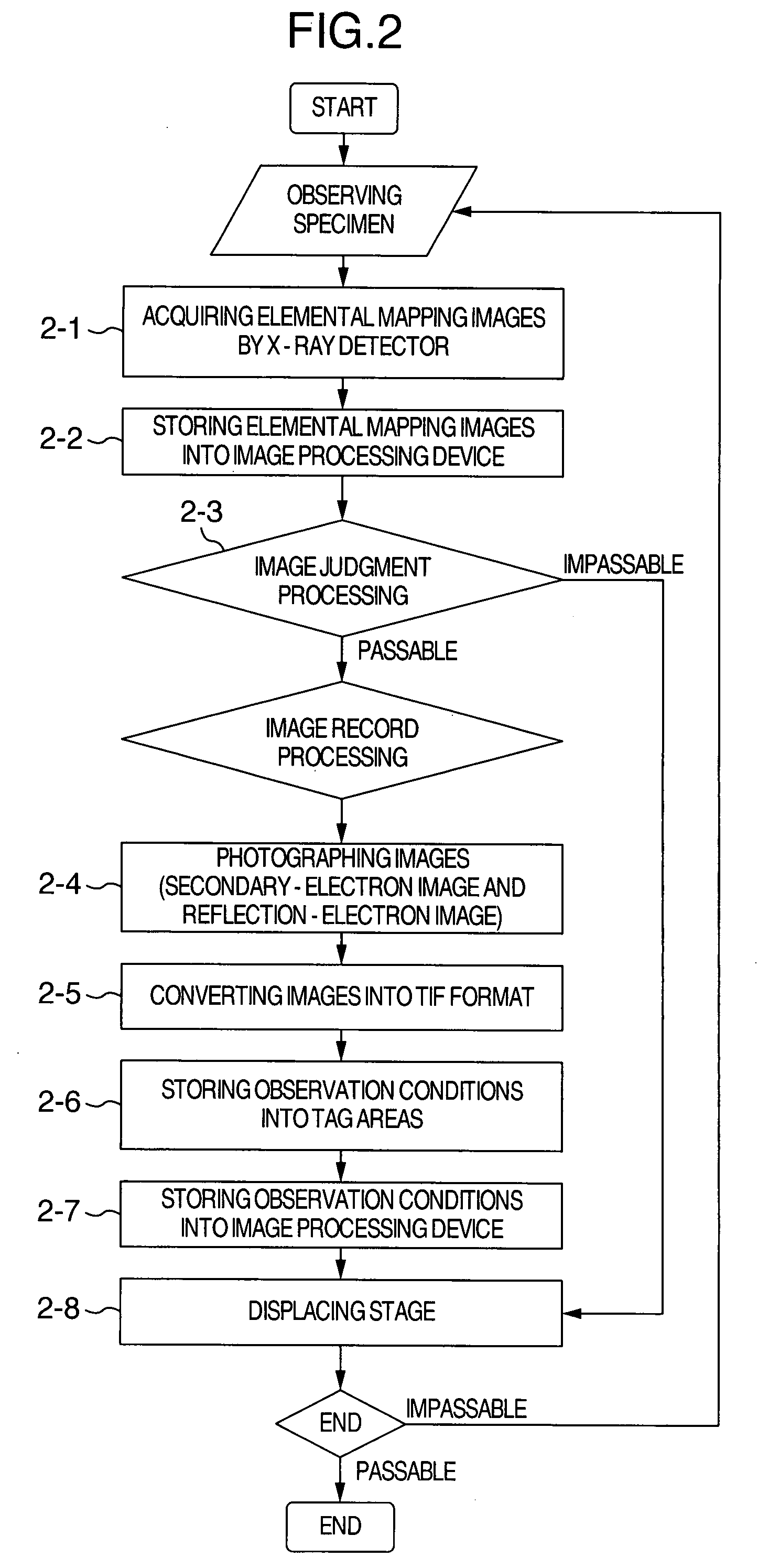 Specimen observation method