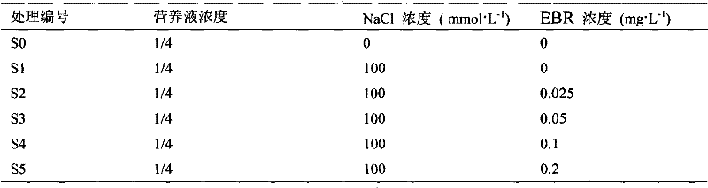 Culture method for improving salt tolerance of eggplant by root fertilization of allogenic material 2,4-epibrassinolide