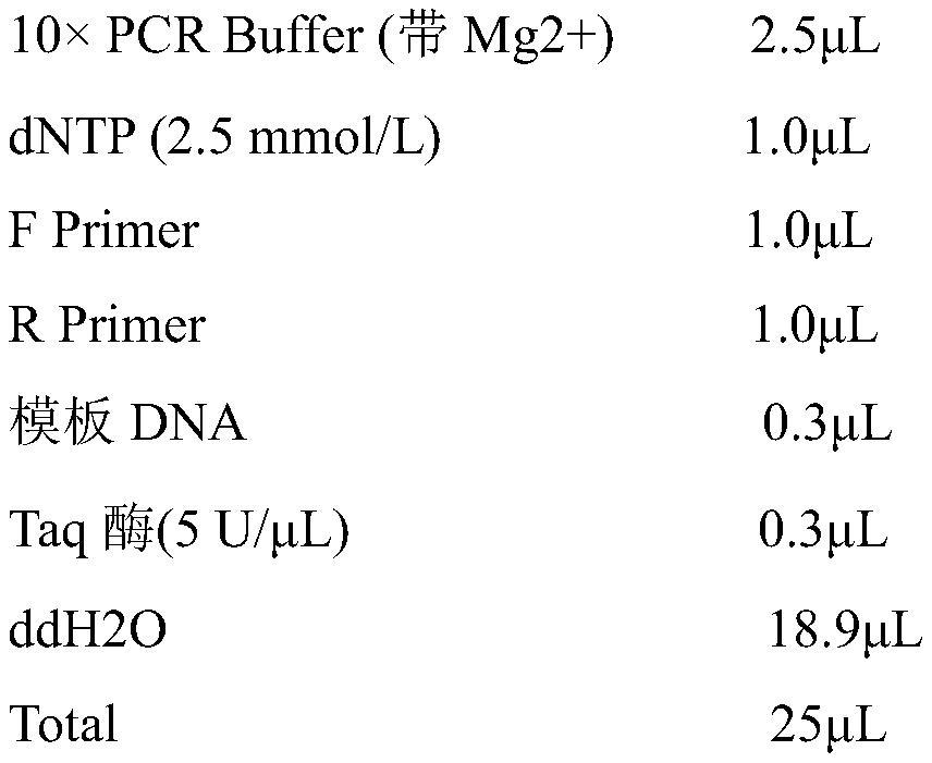 Four-base Microsatellite Genetic Marker Site and Its Screening Method in Forest Musk Deer