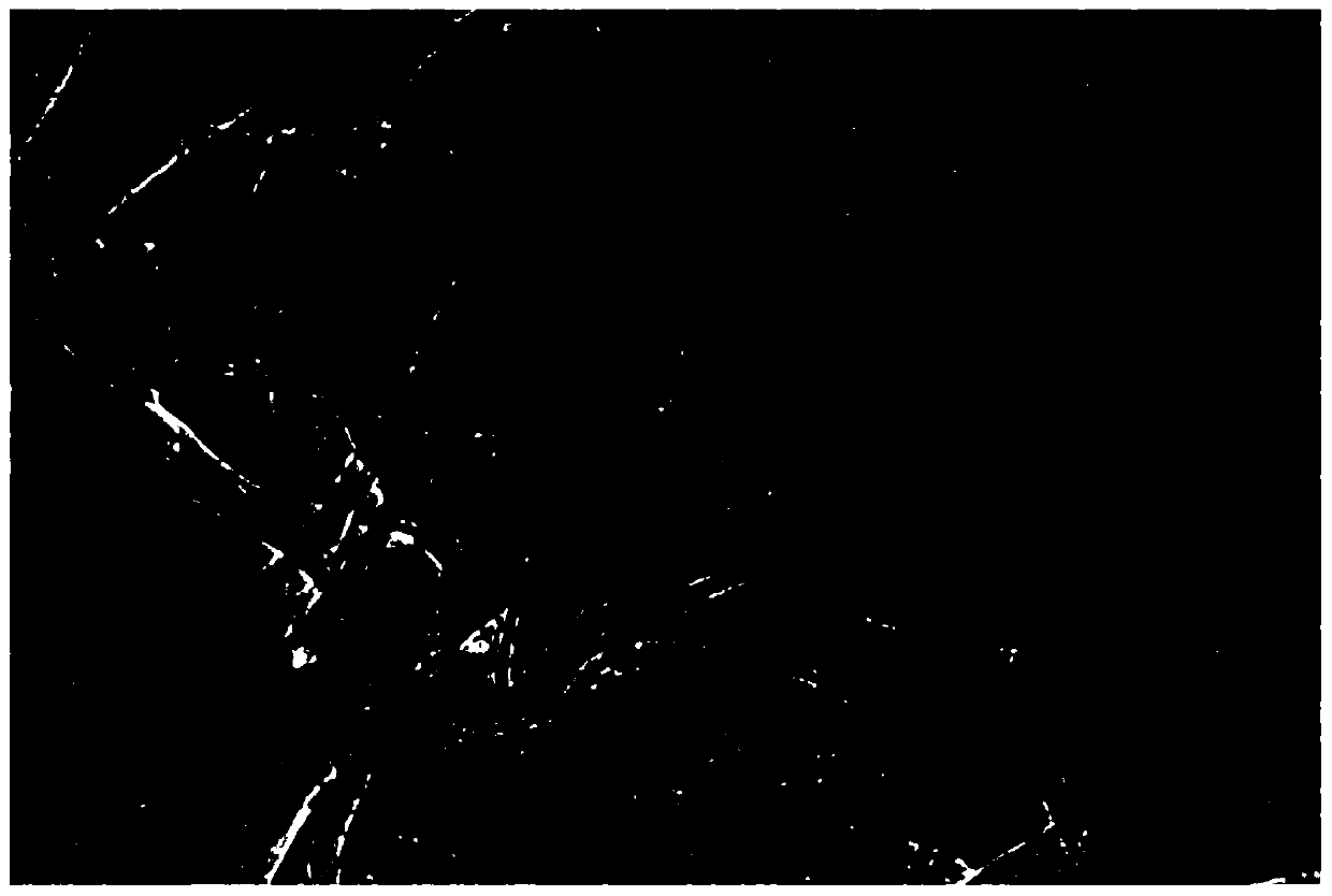 A kind of high-capacity cobalt ion intercalation porous manganese dioxide electrode material and preparation method thereof