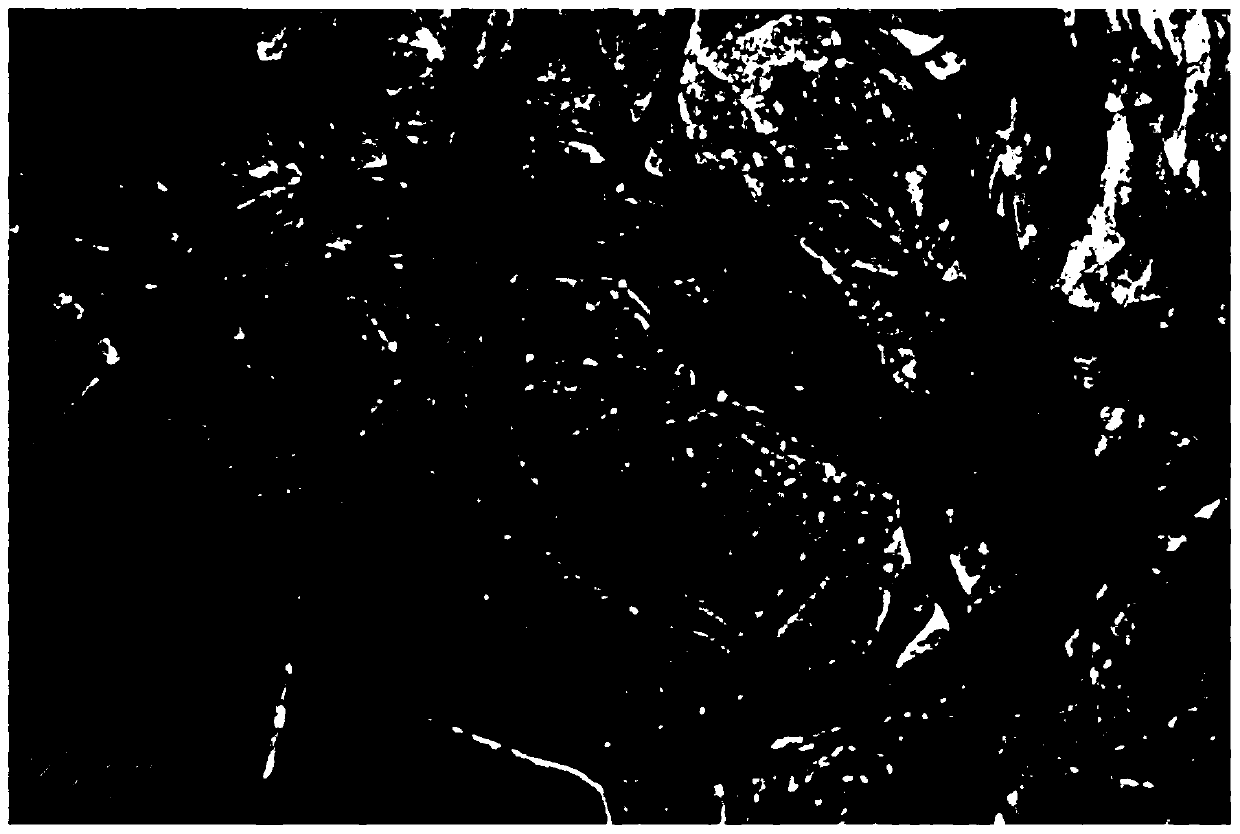 A kind of high-capacity cobalt ion intercalation porous manganese dioxide electrode material and preparation method thereof