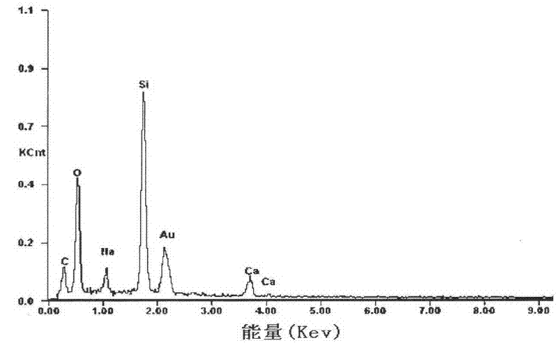 Epoxy resin/carbon nanotube high-strength lightweight composite material, and preparation method thereof