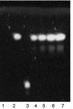 A kind of extraction method of total coumarin and the application of extracted total coumarin