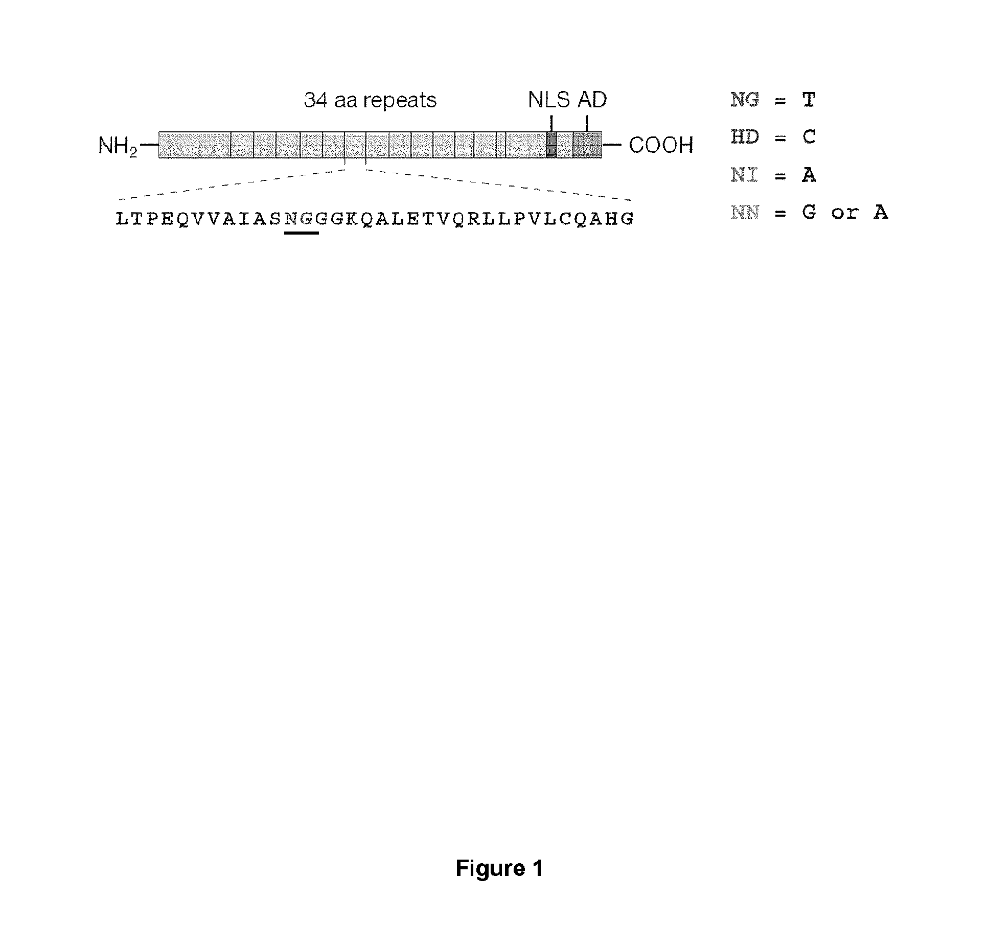 Methods and products for increasing frataxin levels and uses thereof