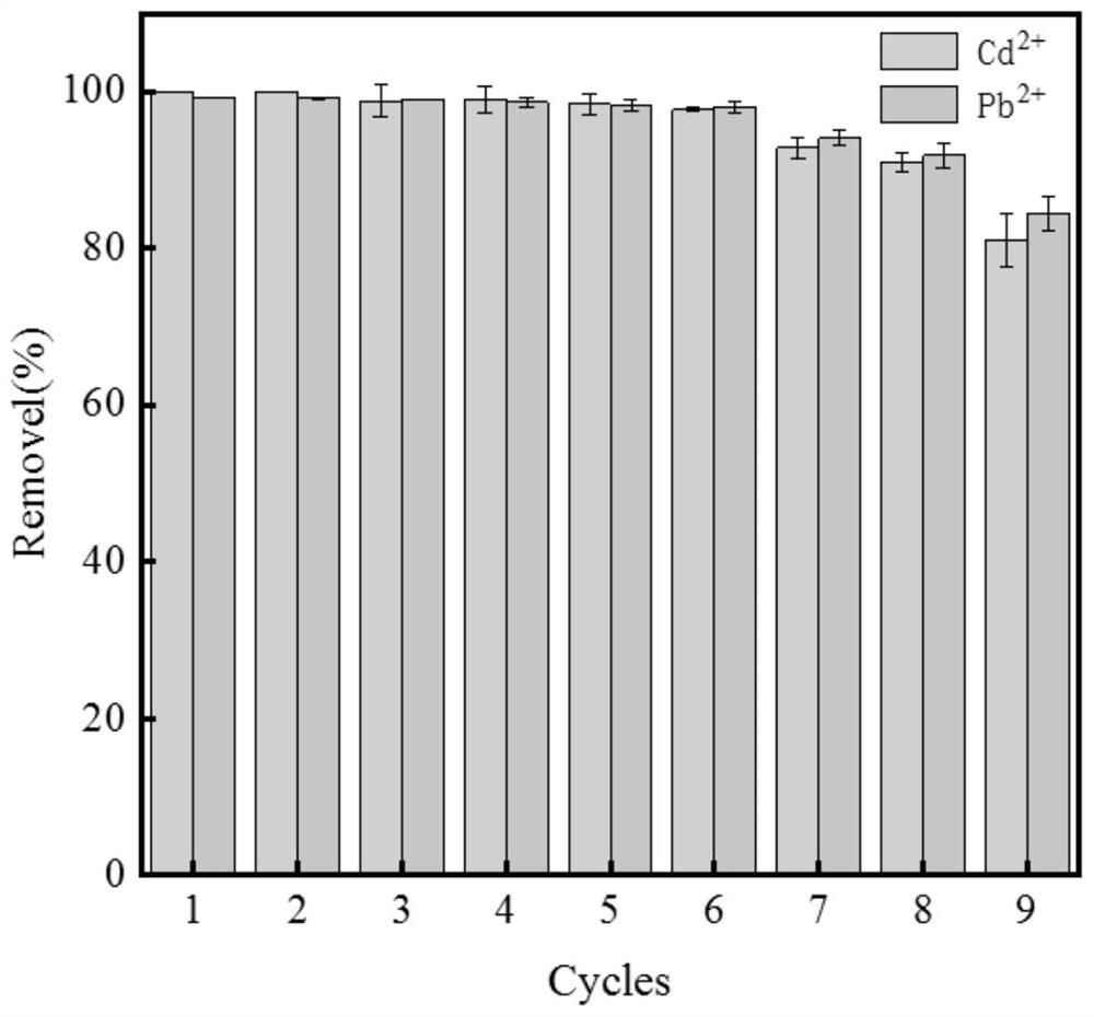 Method for removing heavy metal ions in drinking water