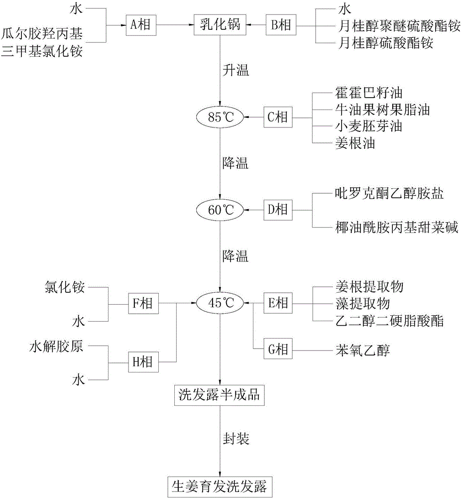 Ginger hair-growing shampoo and preparation method thereof