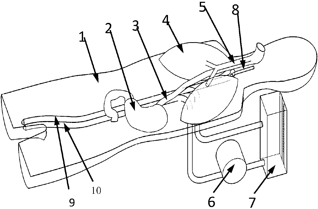 Simulated thoracoscope simulation training device for surgery