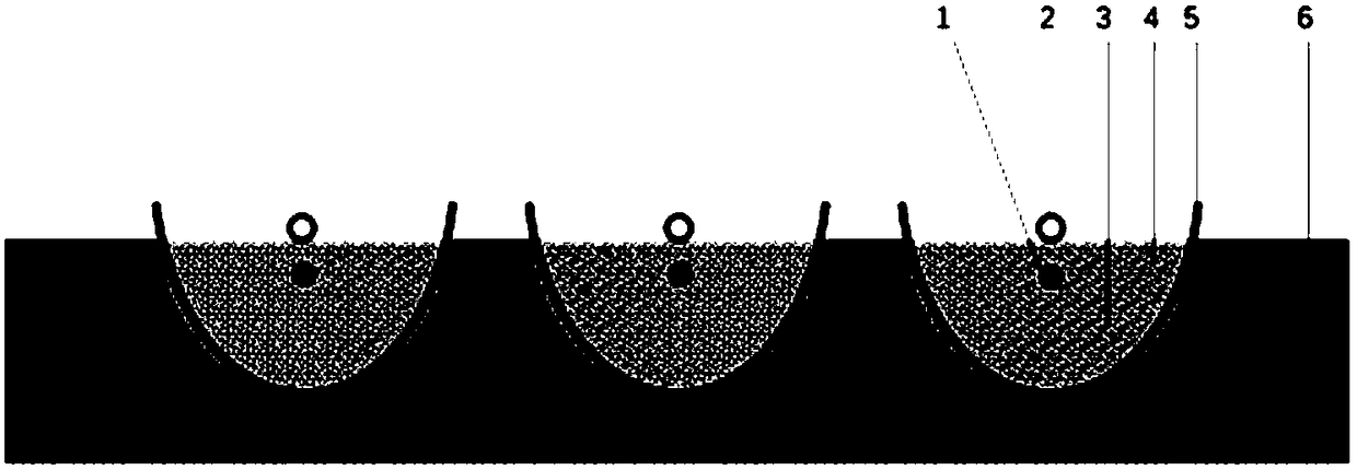 Method for planting plants in desertificated land and application of method in cyperus esculentus planting