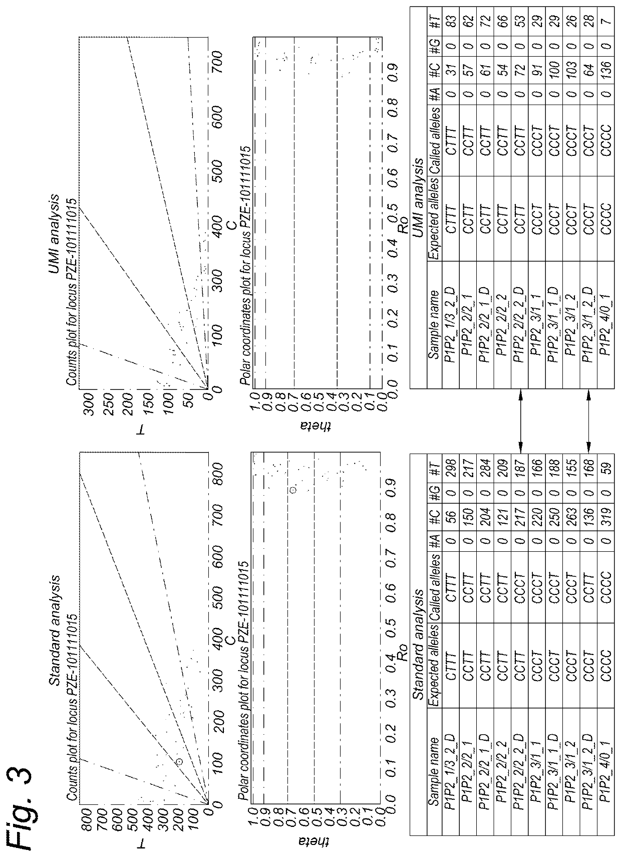 Genotyping of polyploids