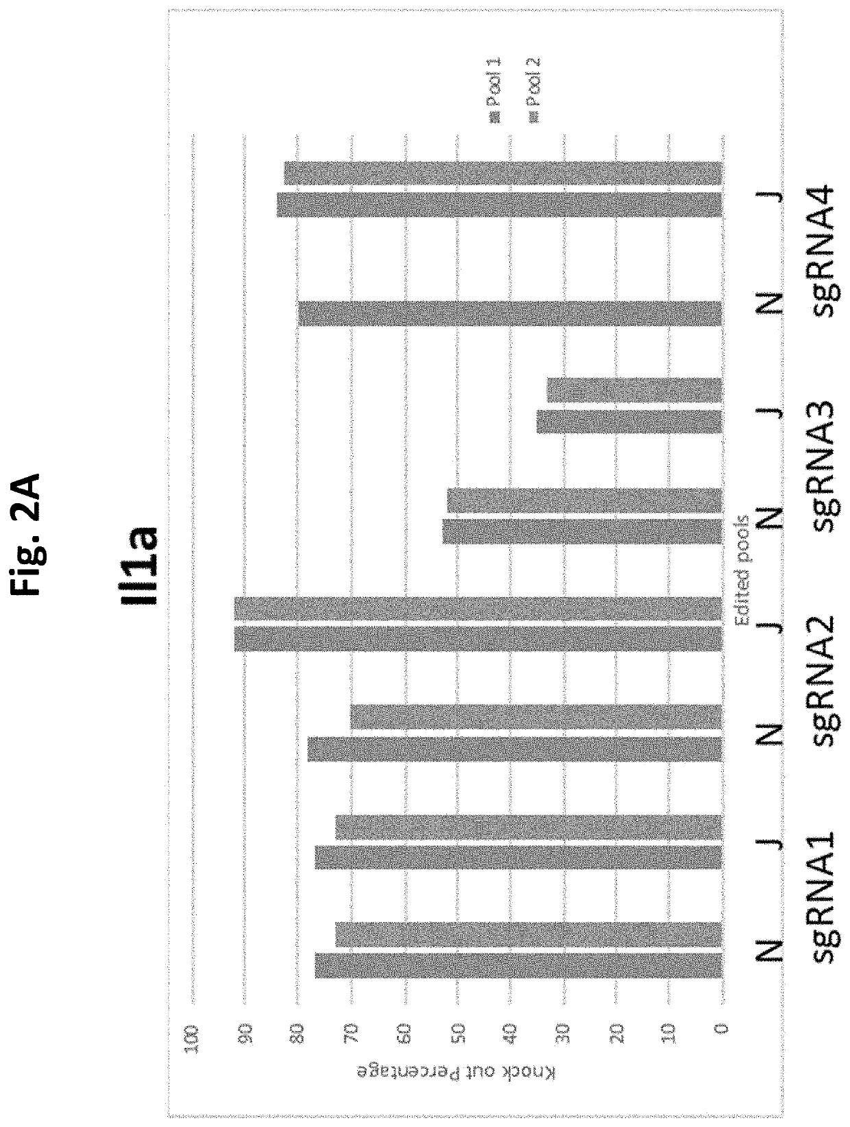 Gene Editing to Impove Joint Function