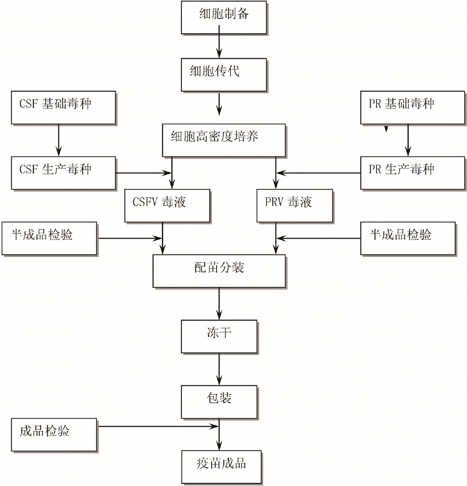 Preparation method of CSF (Classical Swine Fever) and PR (Pseudorabies) bivalent live vaccine and product of CSF and PR bivalent live vaccine