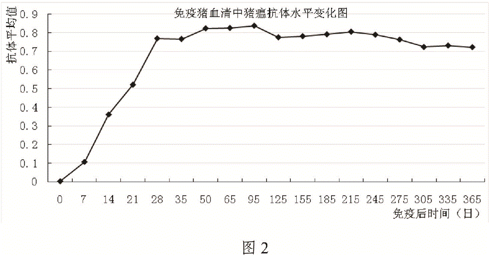 Preparation method of CSF (Classical Swine Fever) and PR (Pseudorabies) bivalent live vaccine and product of CSF and PR bivalent live vaccine