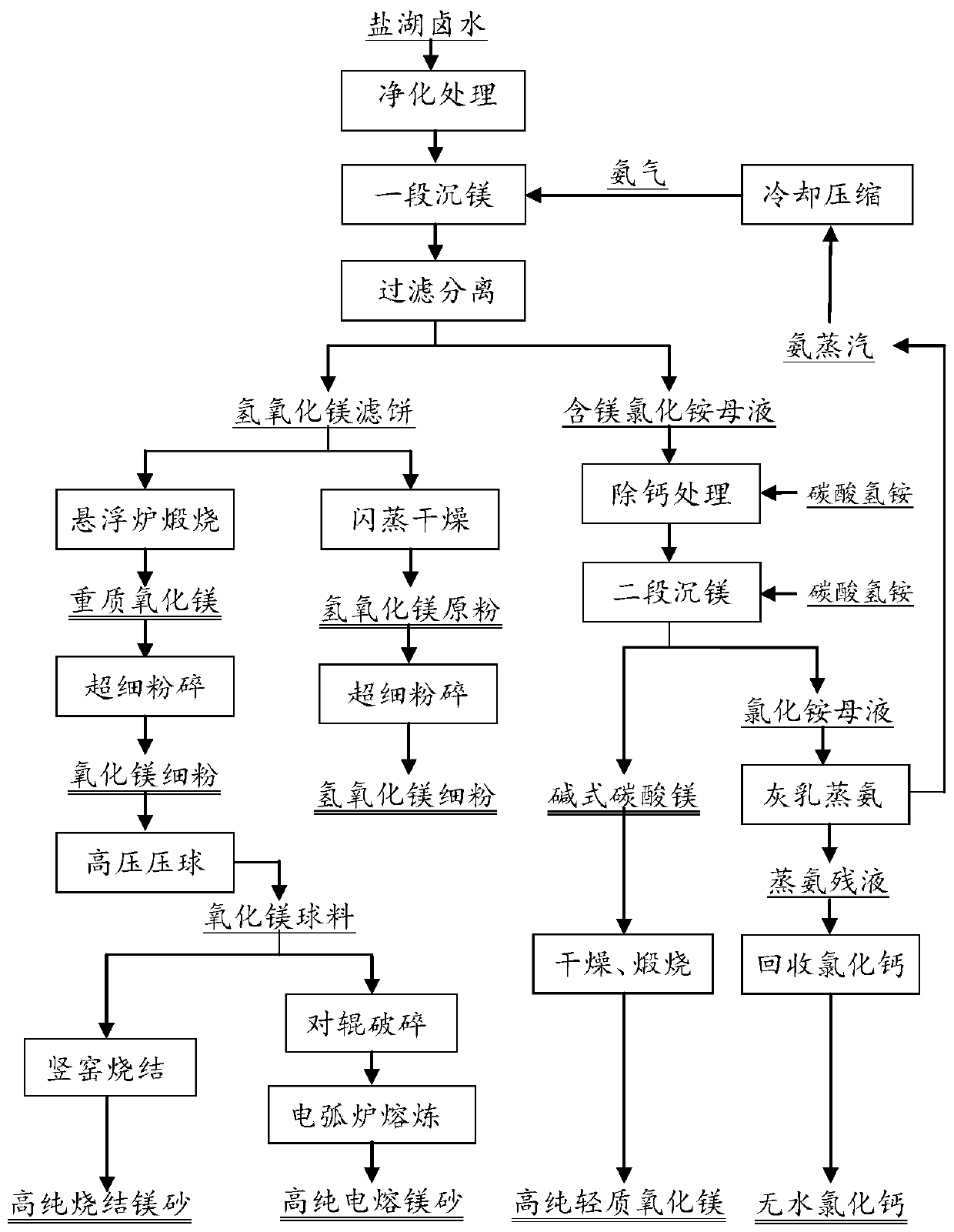 Method for producing high-purity magnesium hydroxide, high-purity magnesium oxide and high-purity magnesia series magnesium products by using salt lake brine