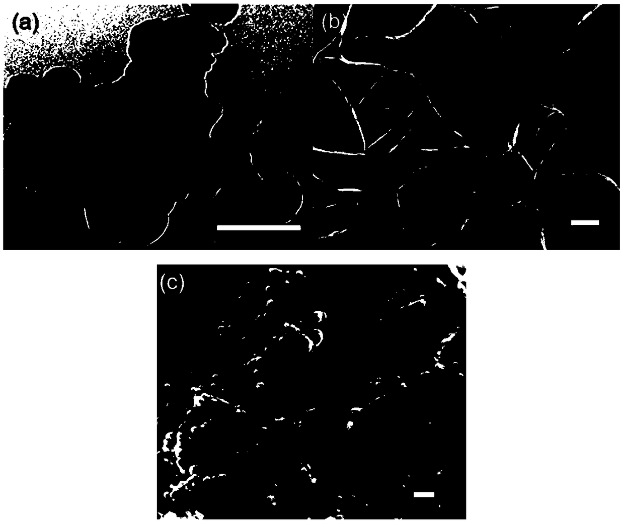 Magnesium based ferrous sulfide composite nanomaterial as well as preparation method and application thereof