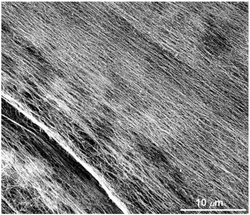 Preparation method and application of single-walled carbon nanotube flexible film capable of realizing high adsorption of organic dyes