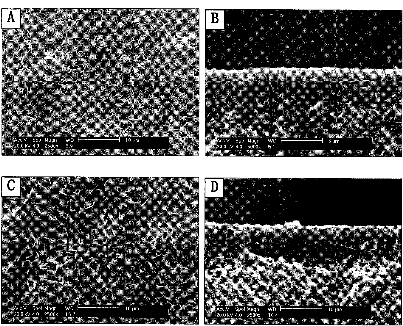 Preparation method for ZSM-5 molecular sieve membrane with high hydrophobicity