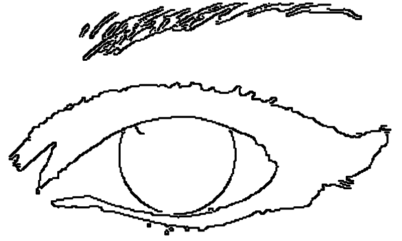 Method for locating eyeball cornea