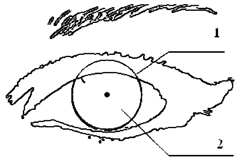 Method for locating eyeball cornea