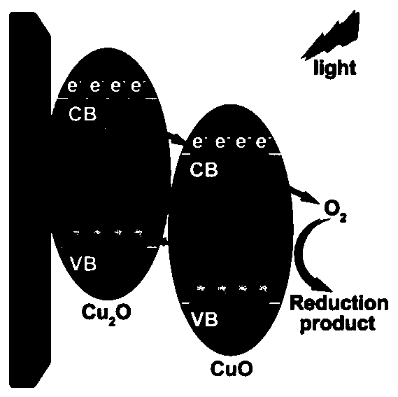 Preparation method of CuO-Cu2O/CM nanowire array heterostructure and application